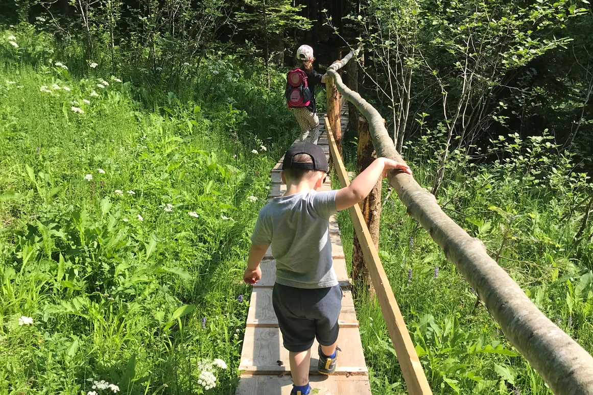 Ausflugsziel: Geisterwald Russbach | Dachstein West
