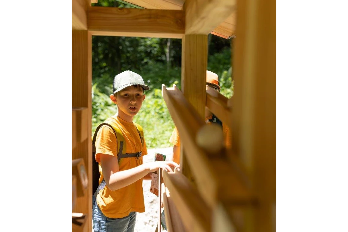 Ausflugsziel: Geisterwald Russbach | Dachstein West