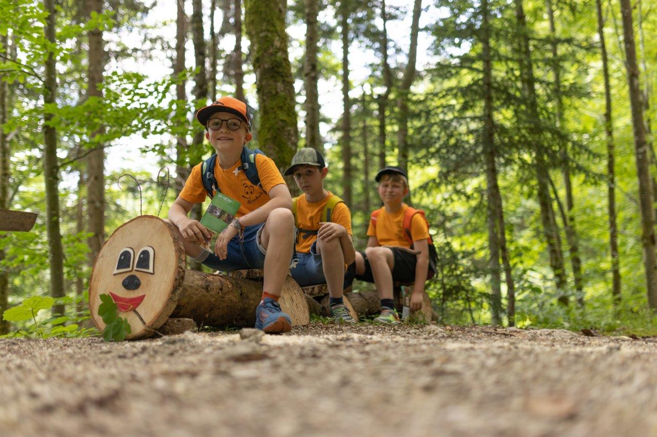 Ausflugsziel: Geisterwald Russbach | Dachstein West