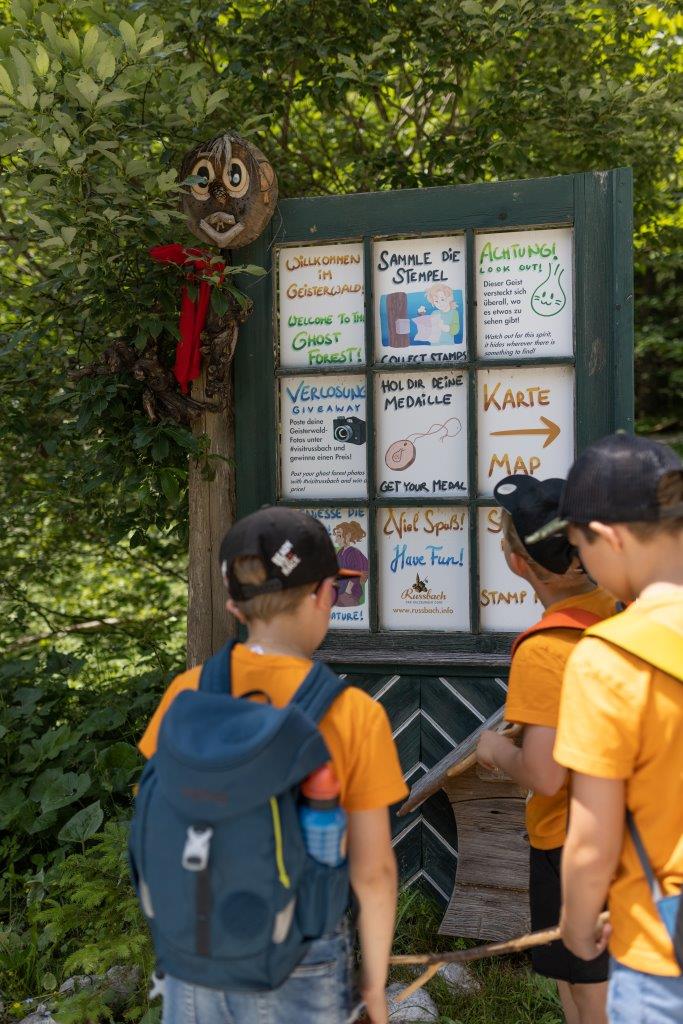 Ausflugsziel: Geisterwald Russbach | Dachstein West