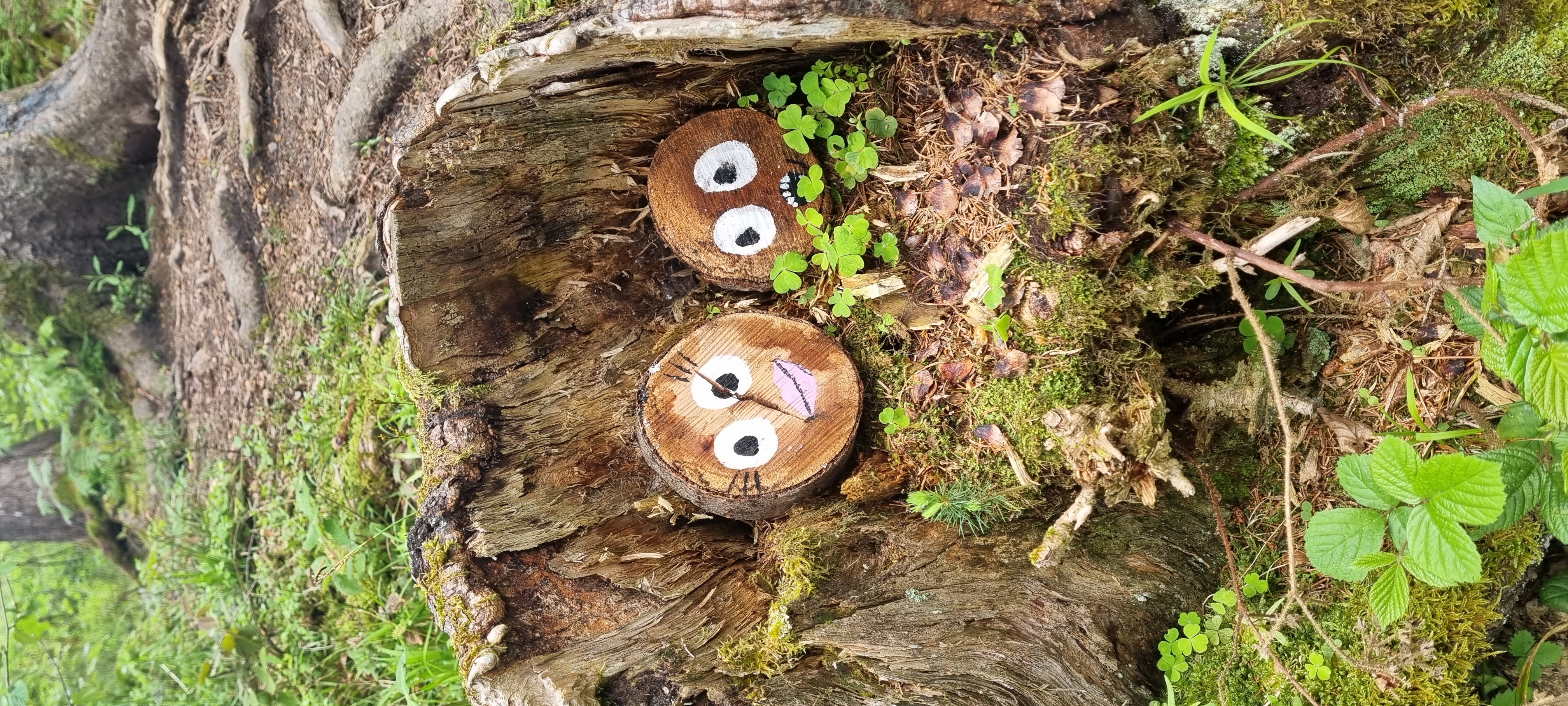 Ausflugsziel: Geisterwald Russbach | Dachstein West