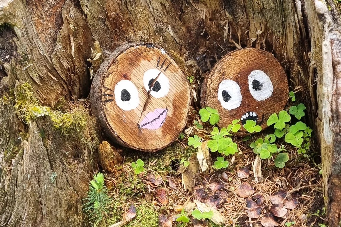 Ausflugsziel: Geisterwald Russbach | Dachstein West