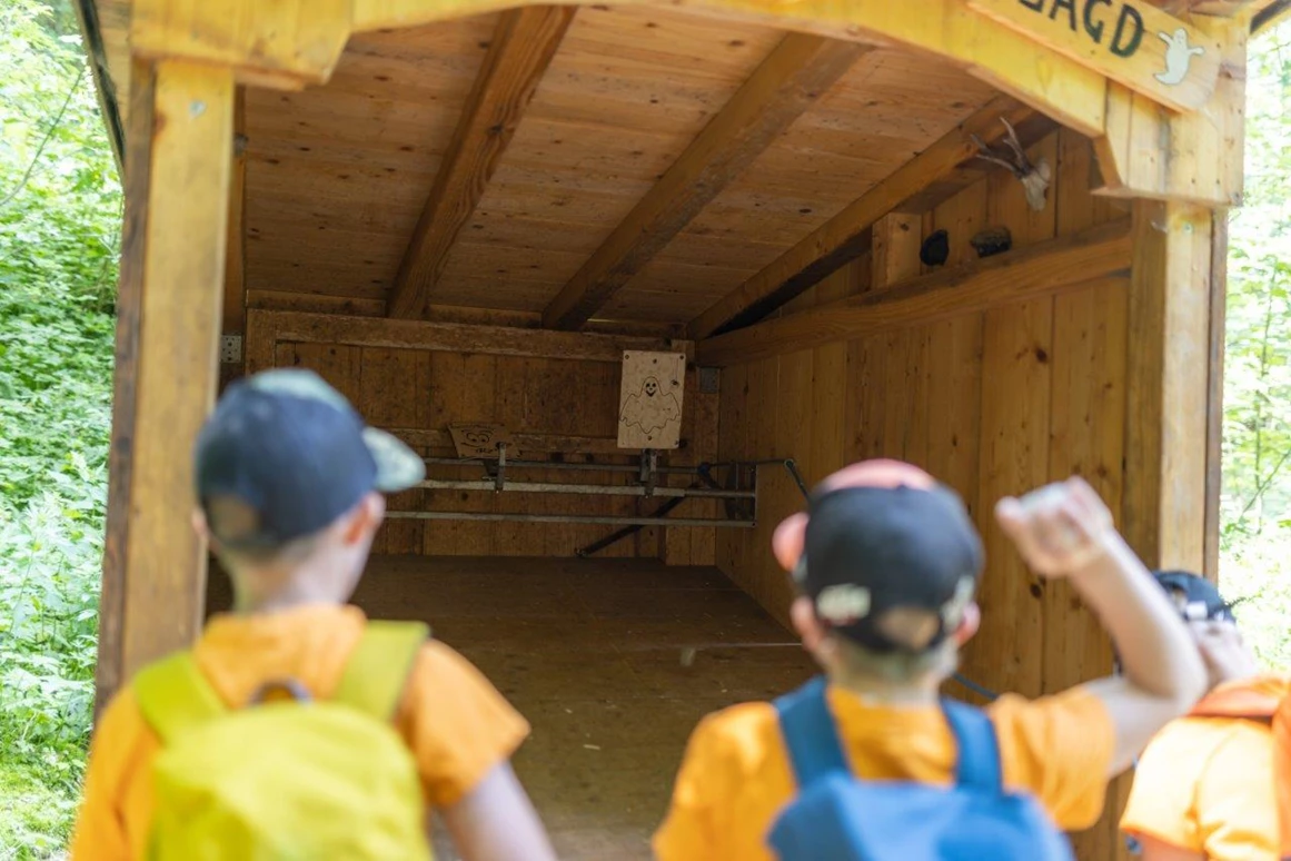 Ausflugsziel: Geisterwald Russbach | Dachstein West
