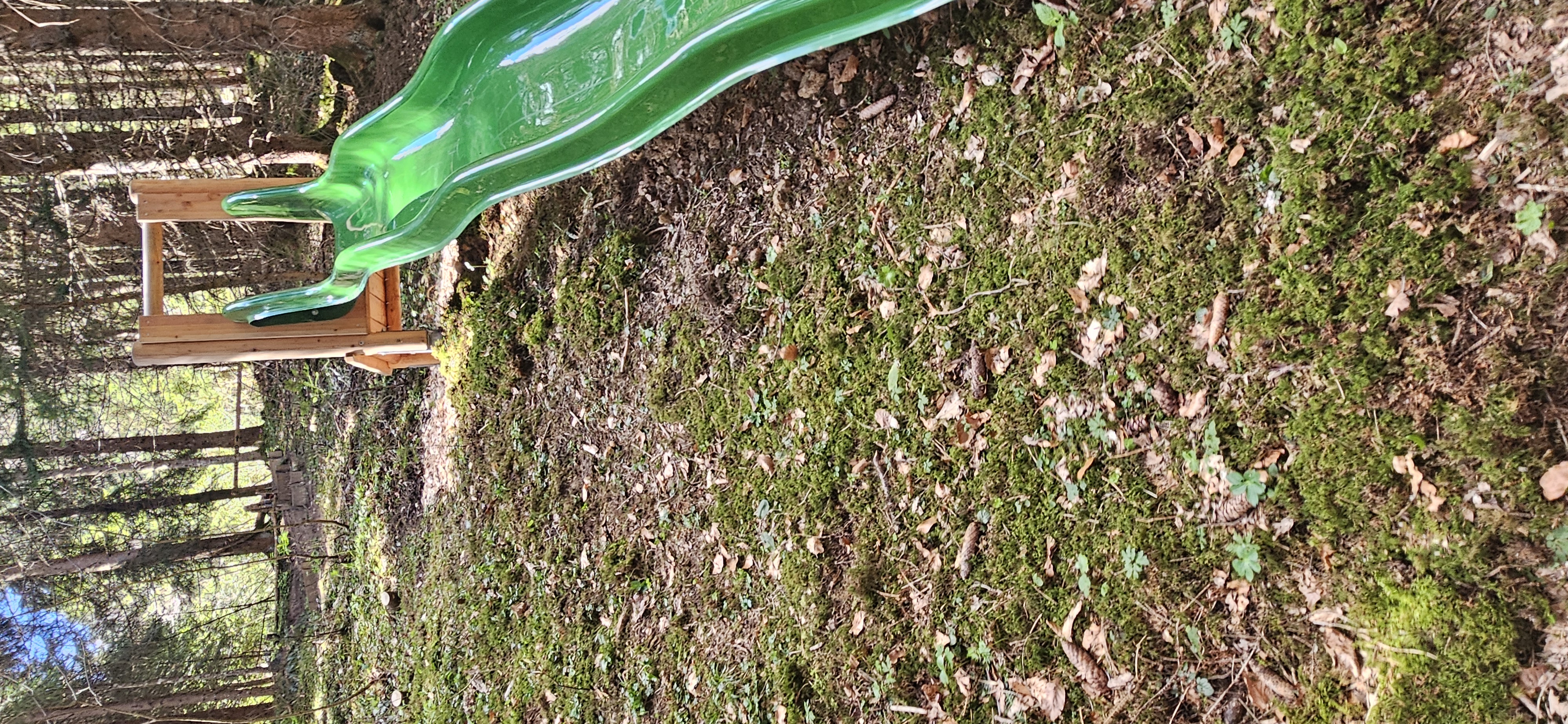 Ausflugsziel: Am Rutschenweg im Geisterwald - Geisterwald Russbach | Dachstein West