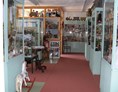 Ausflugsziel: Puppenmuseum