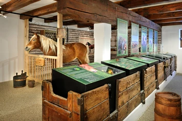 Ausflugsziel: Noriker Pferdemuseum 