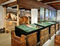 Ausflugsziel: Noriker Pferdemuseum 