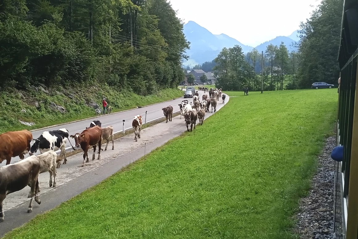 Ausflugsziel: Wälderbähnle