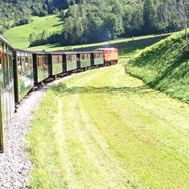 Ausflugsziel: Länger Niatalgietug mit Diesellokomotive 2095.13 - Wälderbähnle