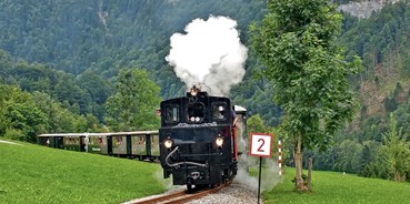 Ausflug mit Kindern - Themenschwerpunkt: Entdecken - Vorarlberg - Wälderbähnle