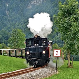 Ausflugsziel: Mit unserer Dampflok unterwegs von Bezau nach Schwarzenberg. - Wälderbähnle