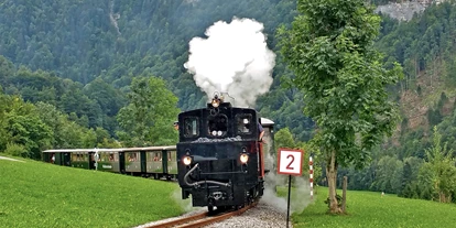 Ausflug mit Kindern - Mäder - Wälderbähnle