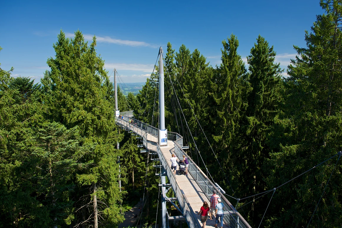 Ausflugsziel: Waldwelt Skywalk Allgäu