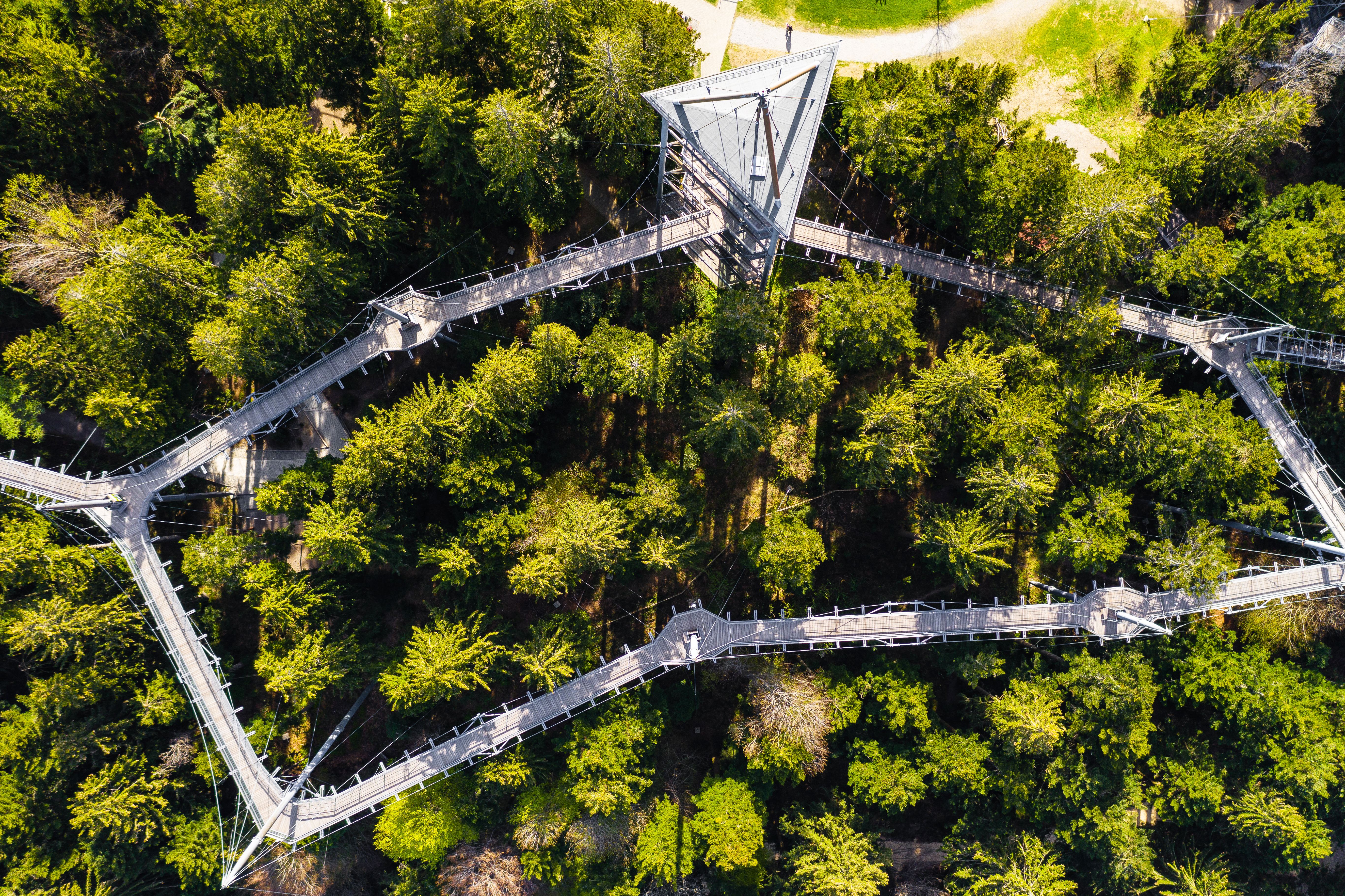Voyage avec des enfants - Meersburg - Waldwelt Skywalk Allgäu