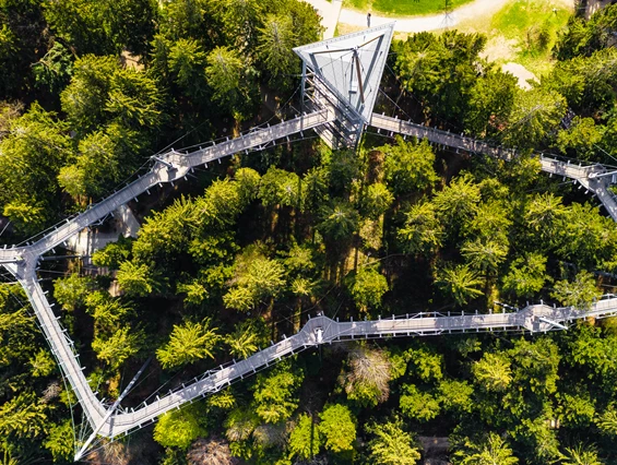 Ausflugsziel: Waldwelt Skywalk Allgäu
