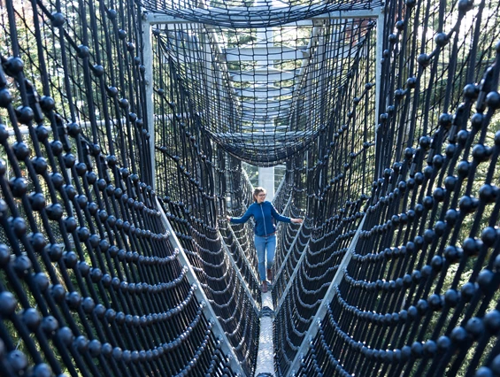 Ausflugsziel: Waldwelt Skywalk Allgäu