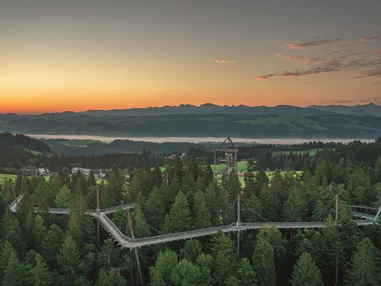 Ausflugsziel: Waldwelt Skywalk Allgäu