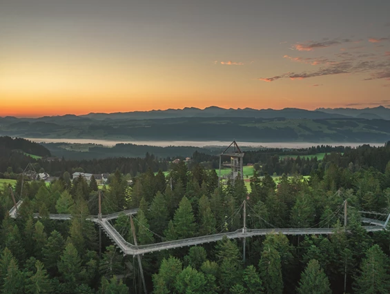 Ausflugsziel: Waldwelt Skywalk Allgäu