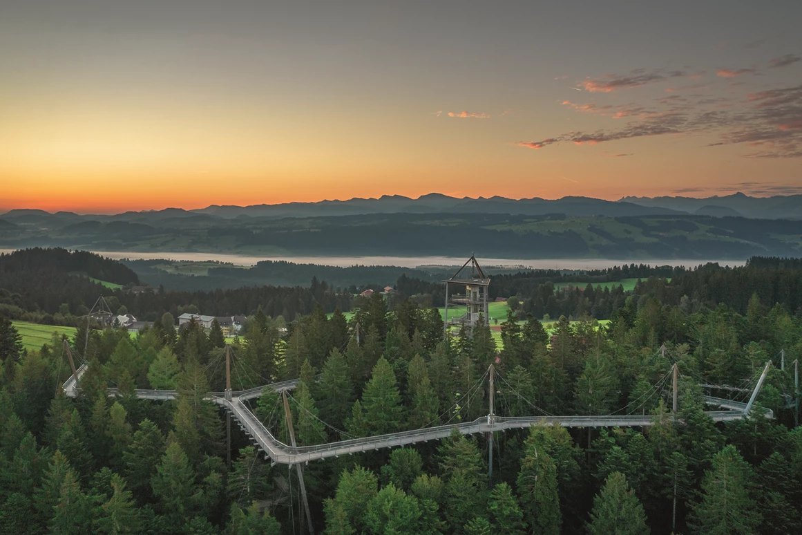 Ausflugsziel: Waldwelt Skywalk Allgäu