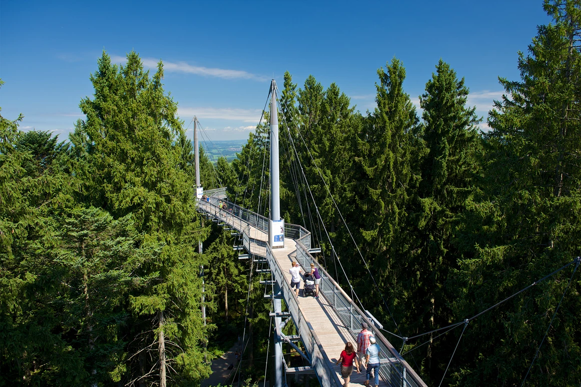 Ausflugsziel: Waldwelt Skywalk Allgäu