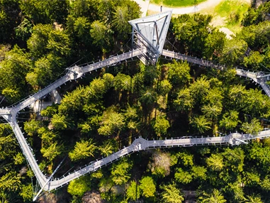Ausflugsziel: Waldwelt Skywalk Allgäu