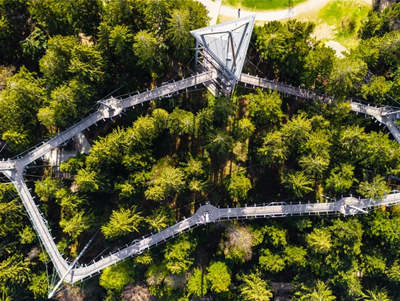 Ausflugsziel: Waldwelt Skywalk Allgäu