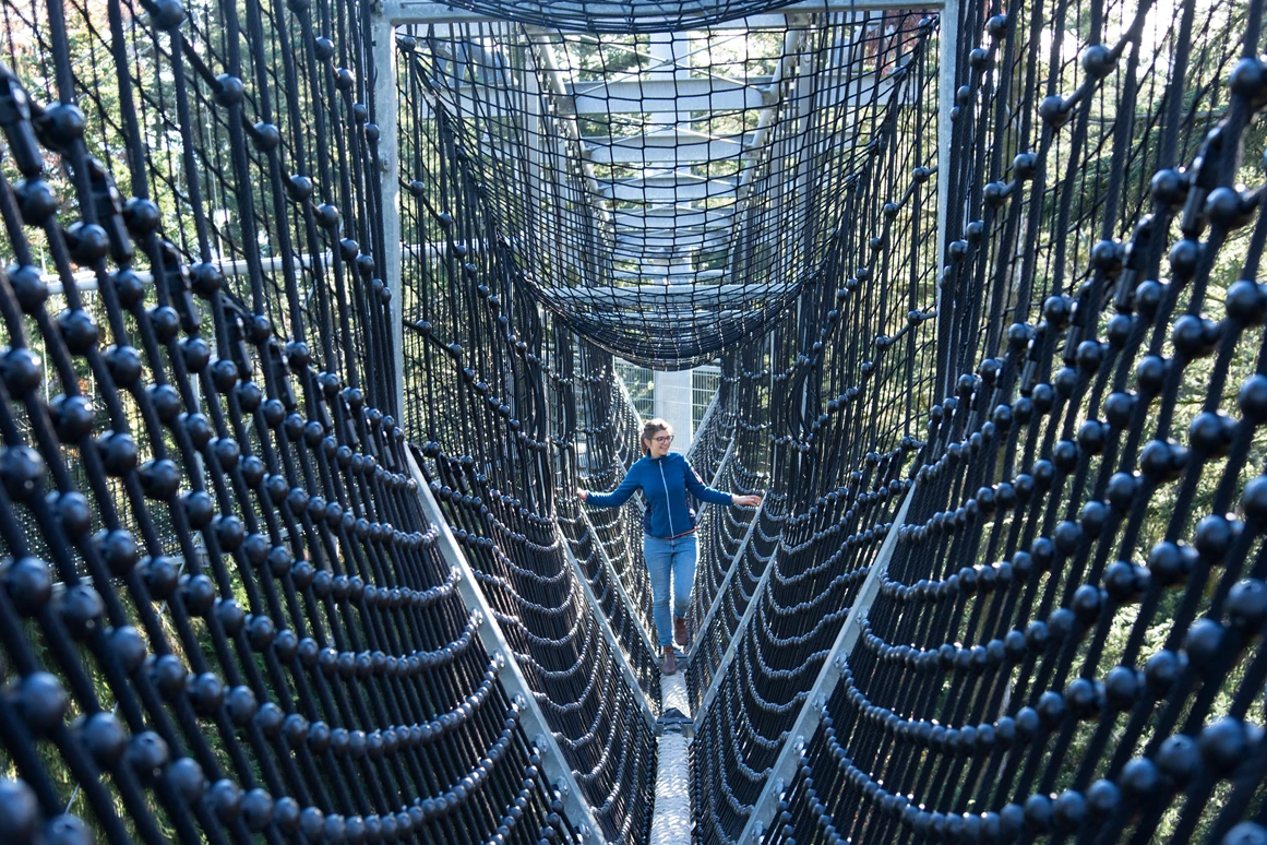 Ausflugsziel: Waldwelt Skywalk Allgäu