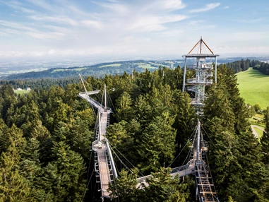 Ausflugsziel: Waldwelt Skywalk Allgäu