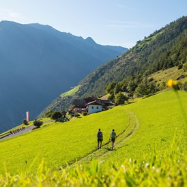 Urlaub: Herrliche Aussichten für Wanderer auf dem Sonnenberg über Naturns. - Naturns