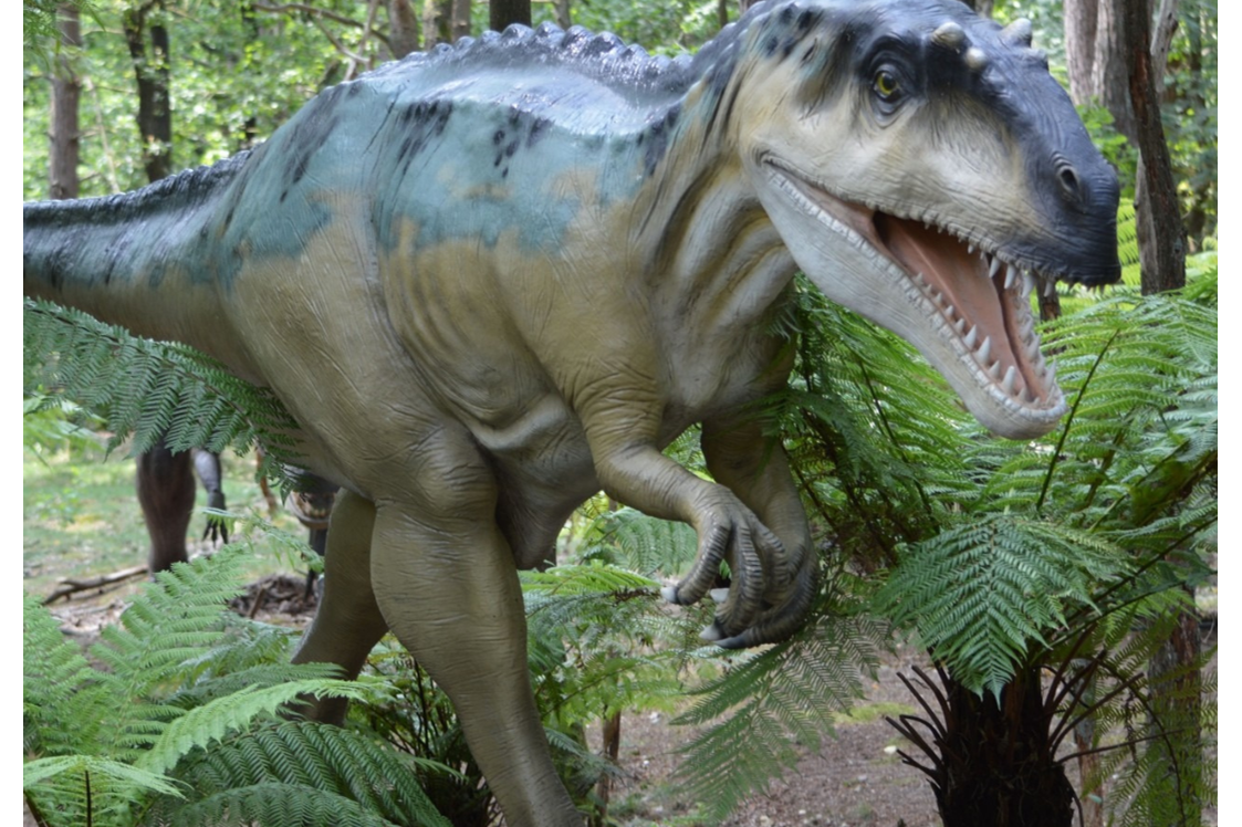 Ausflugsziel: Symbolbild für Ausflugsziel Dinopark Funtana. Keine korrekte oder ähnlich Darstellung! - Dinopark Funtana