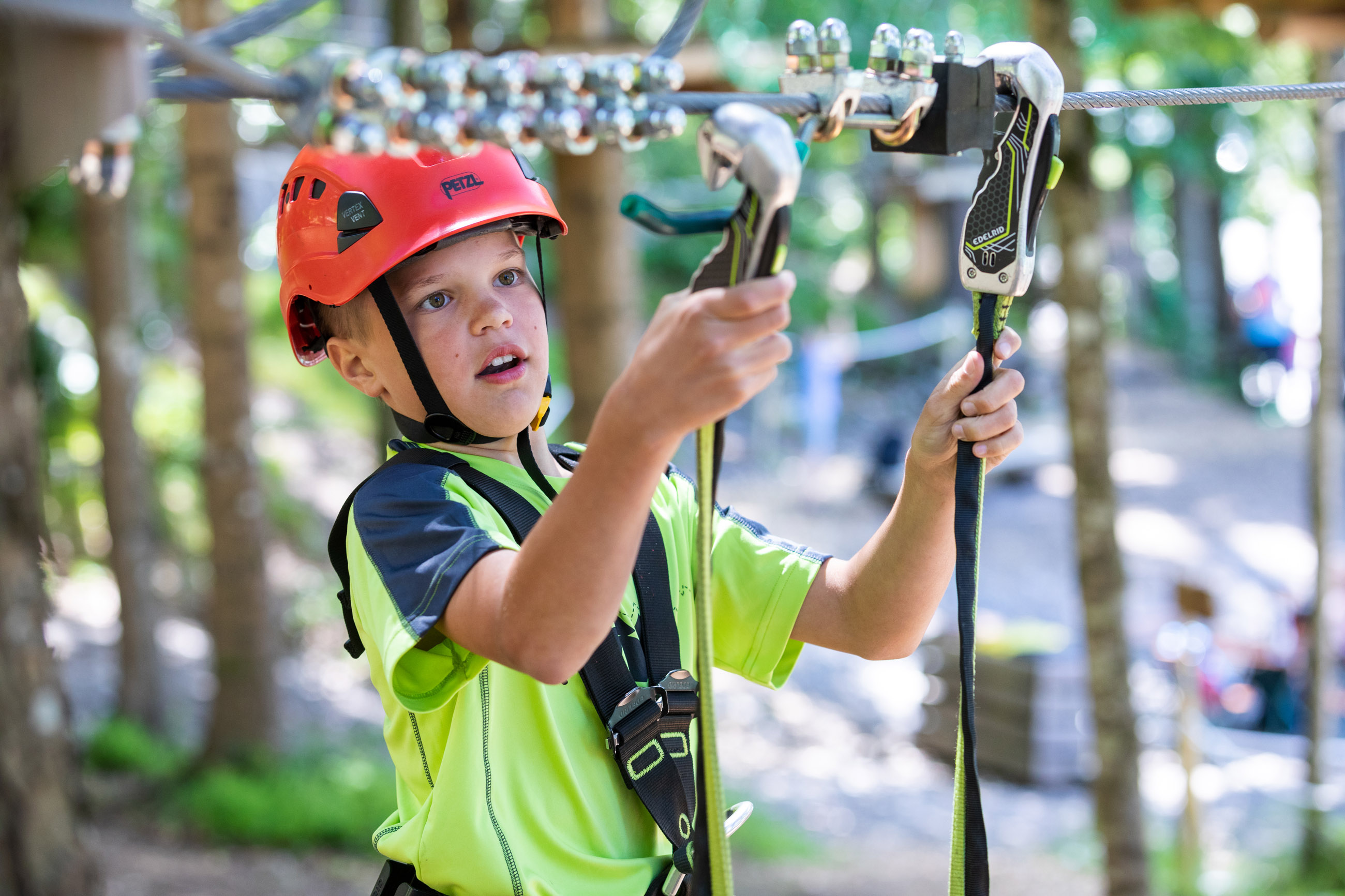 Ausflugsziel: Waldseilpark-Golm