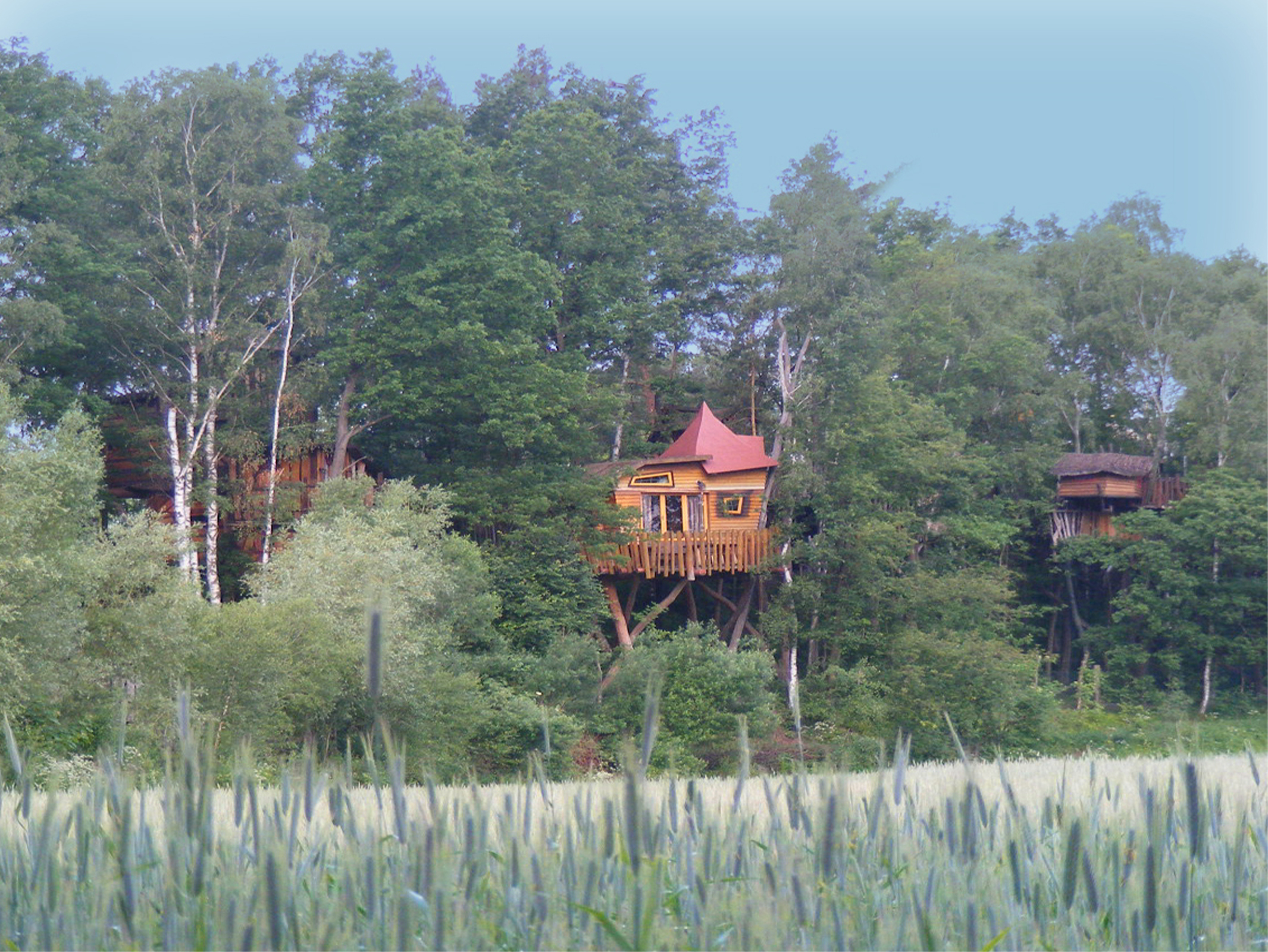 Ausflug mit Kindern - Alter der Kinder: über 10 Jahre - Sachsen - Kurzurlaub vom Alltag - Kulturinsel - Die Geheime Welt von Turisede