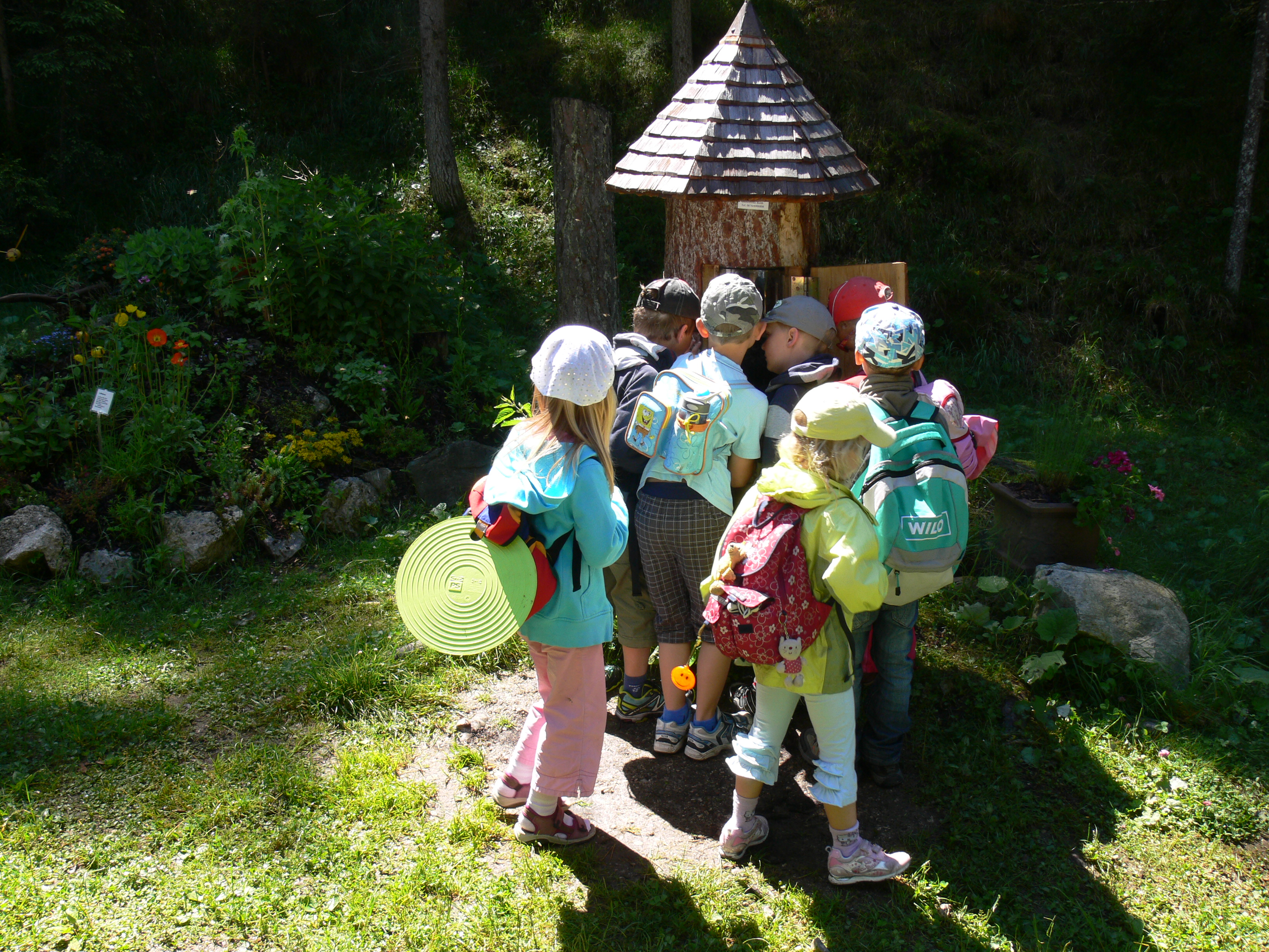 Ausflug mit Kindern - Alter der Kinder: über 10 Jahre - Region Seefeld - Bienenlehrpfad Reith bei Seefeld - Tirol