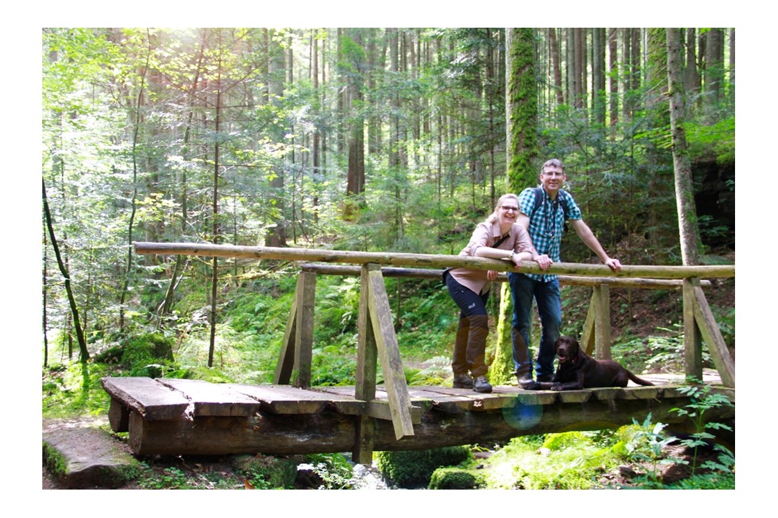 Ausflugsziel: Wasser-, Wald- und Wiesenpfad -Genießerpfad / Premiumweg