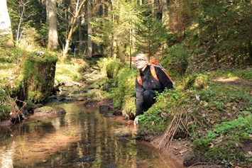 Ausflugsziel: Wasser-, Wald- und Wiesenpfad -Genießerpfad / Premiumweg
