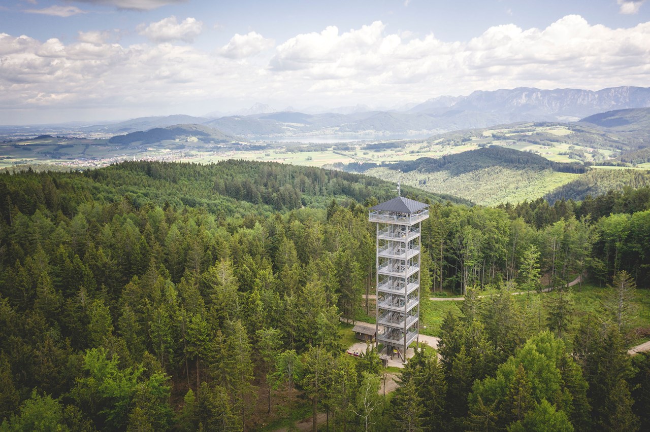 Attergauer Aussichtsturm Highlights beim Ausflugsziel Attergau Aussichtsturm