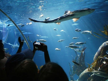 Ausflugsziel: SEA LIFE Speyer