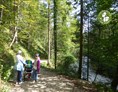 Ausflugsziel: Schöne Strecke am Bacherl entlang - Maisrundweg
