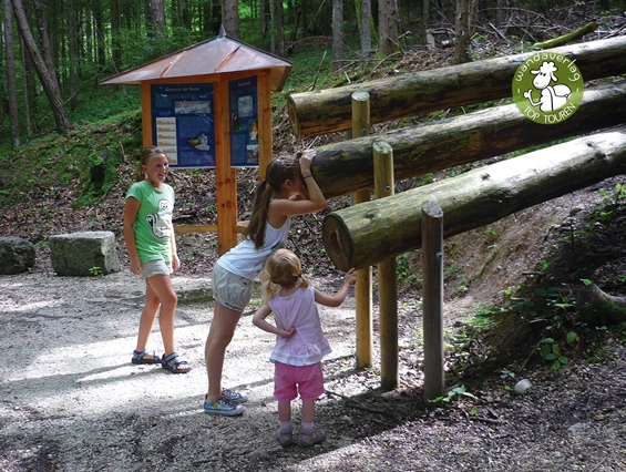 Ausflugsziel: Viele nette Spielstationen begleiten den Weg - Maisrundweg