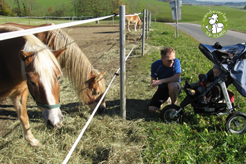 Ausflugsziel: Hier sind fast immer Pferde auf den Weiden zu finden - Buchberg mit dem Kinderwagen