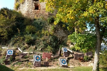 Ausflugsziel: Unser Einschussplatz - Bogenparcours des TBA Treffling beim Schloss Riedegg
