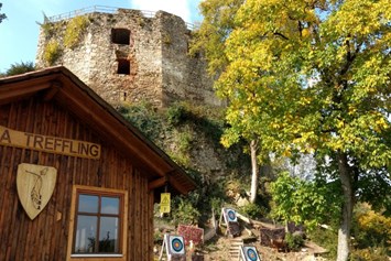 Ausflugsziel: Unser Vereinshaus in tollem Ambiente - Bogenparcours des TBA Treffling beim Schloss Riedegg