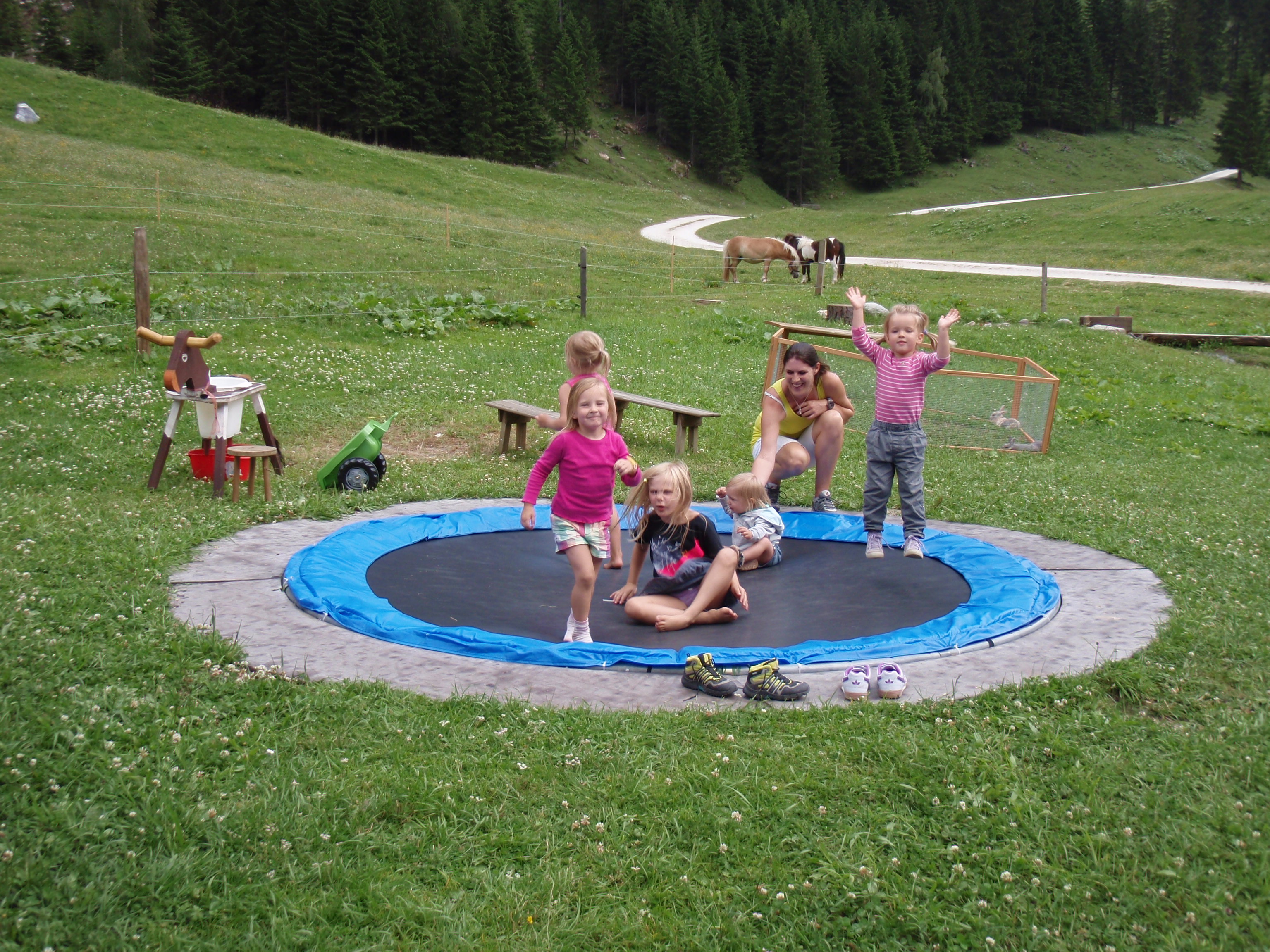 Trip with children - Großarl - Auch die Kleinsten tummeln sich auf dem versenkten Trampolin. Die Kälbchen schauen zu. - PALFNER ALM im Seidlwinkltal