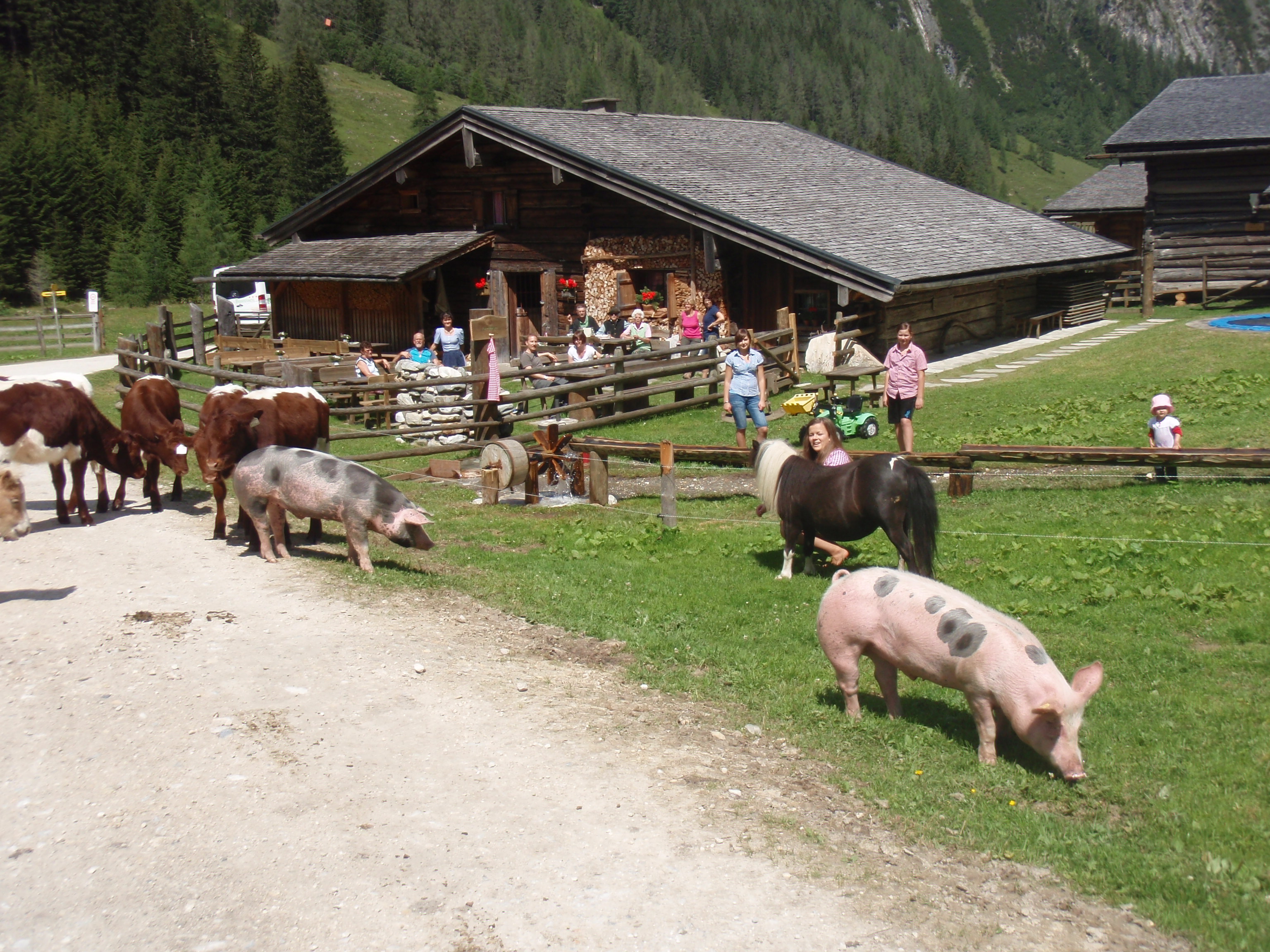 Ausflugsziel: PALFNER ALM im Seidlwinkltal