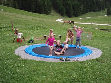 Ausflugsziel: Auch die Kleinsten tummeln sich auf dem versenkten Trampolin. Die Kälbchen schauen zu. - Palfner Alm Rauris