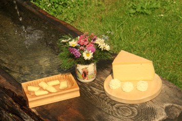Ausflugsziel: Unsere Milch aus den Alm- kräutern ist  die Grundlage für die köstliche Butter, Topfen und Käse. - Palfner Alm Rauris