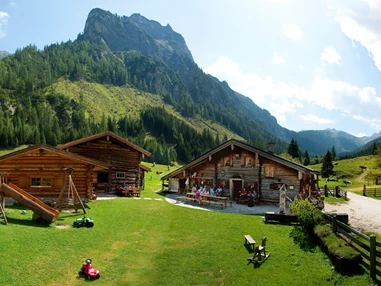 Ausflugsziel: Unsere 300 Jahre alte Palfneralm - Palfner Alm Rauris