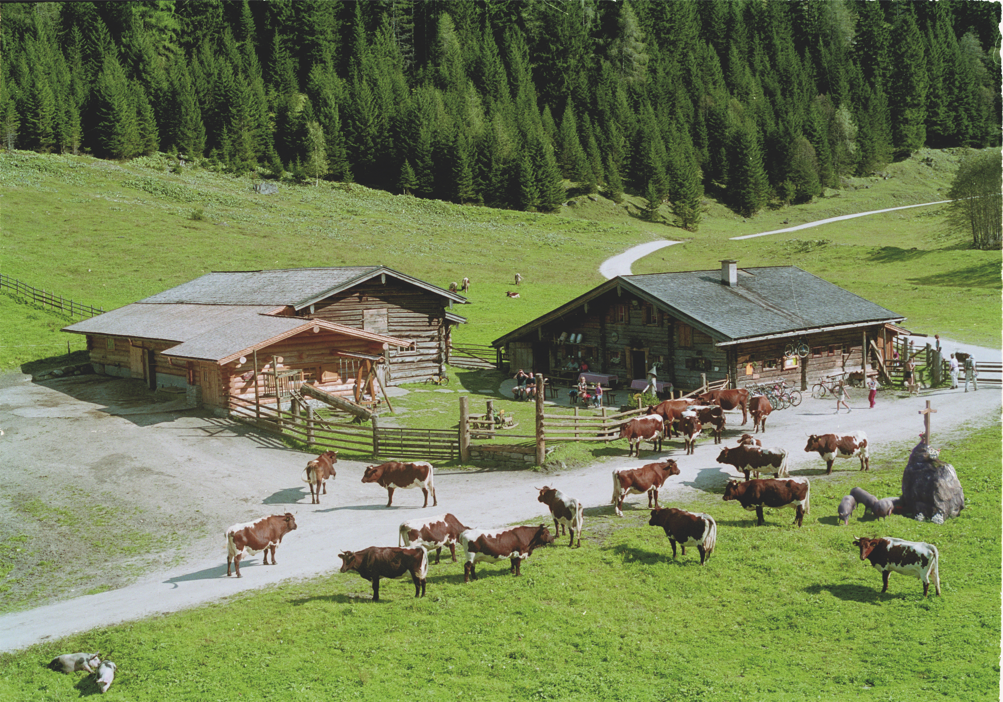Ausflugsziel: Palfner Alm Rauris