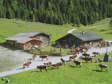 Ausflugsziel: Palfner Alm Rauris