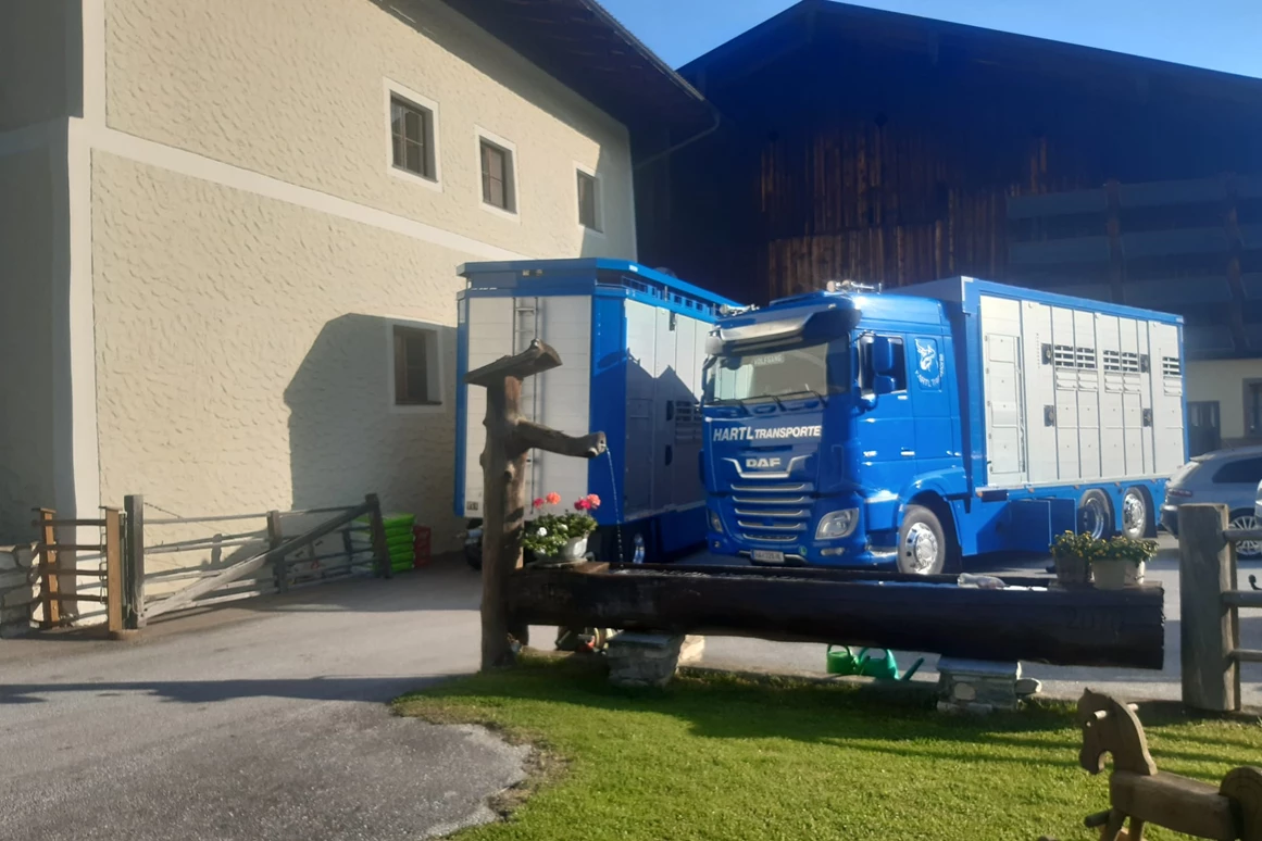 Ausflugsziel: Palfner Alm Rauris